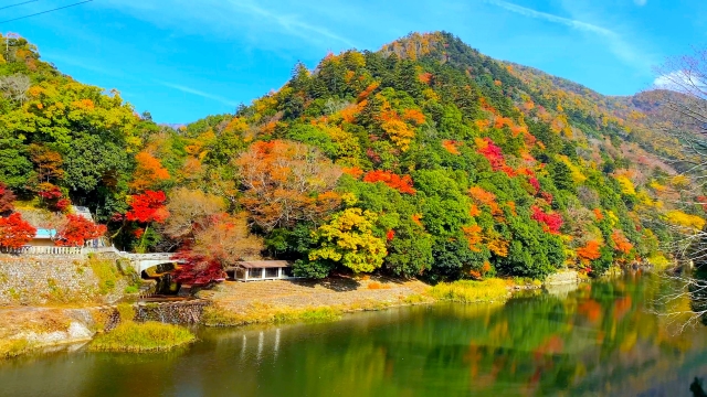 東近江市の永源寺の紅葉