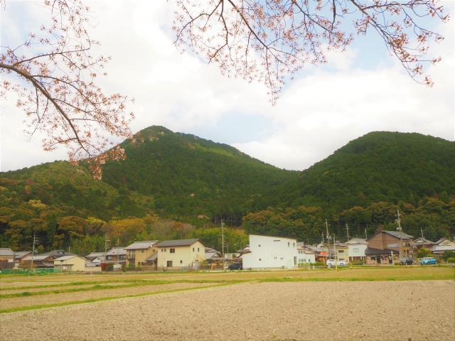 人口50,574人の野洲市、ちょうどええ町なんちゃう？🏡